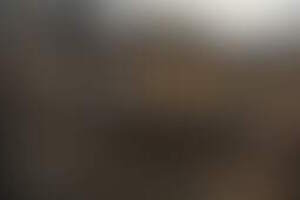 Фотография перформанса Walterra от компании Lost (Фото 1)