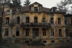 Walterra