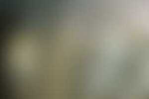 Фотография экшн-игры Карантин от компании Твой квест (Фото 2)